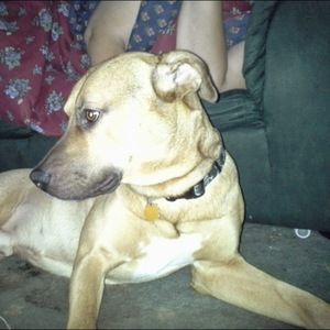 Meet your Posher, Josslynn